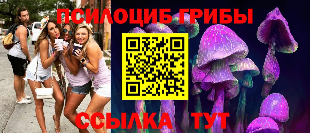Галлюциногенные грибы Psilocybine cubensis Новороссийск
